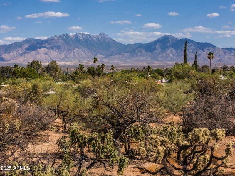 25-web-or-mls-Belltower Dr-25