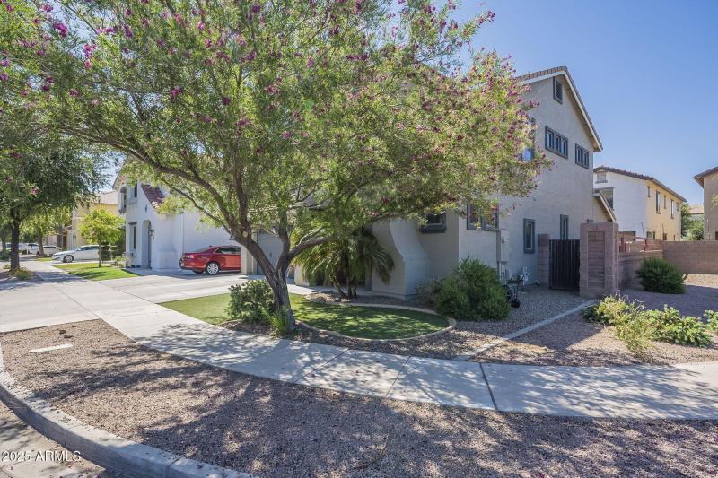 4-web-or-mls-Pelican-4