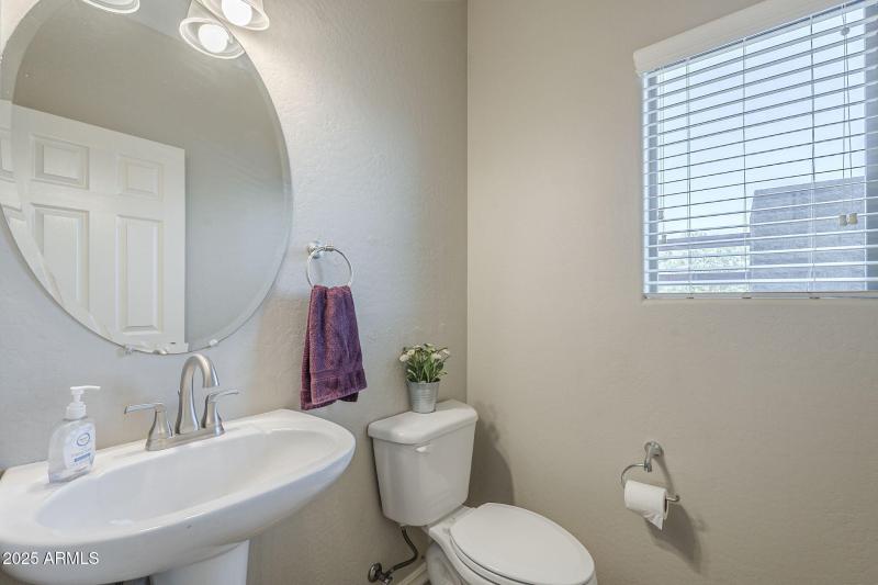 23-web-or-mls-Pelican-23