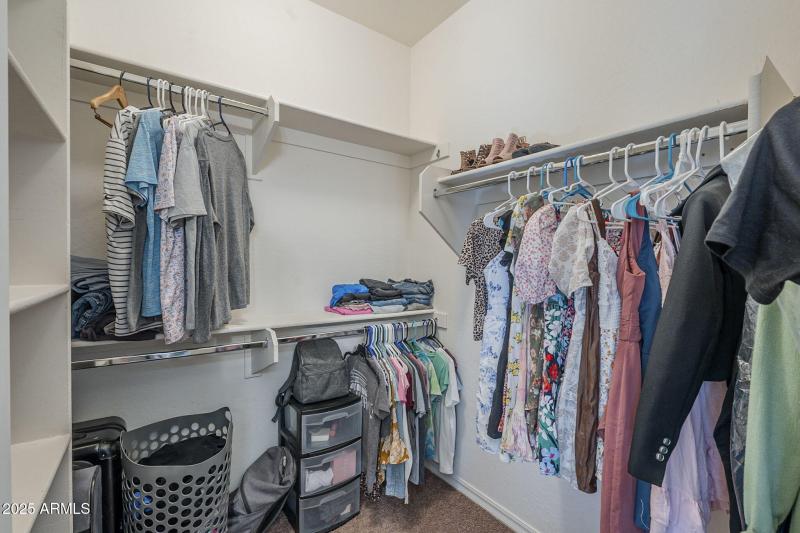 36-web-or-mls-Pelican-36