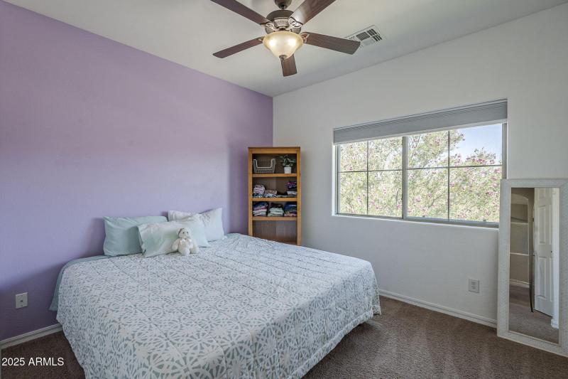 40-web-or-mls-Pelican-40