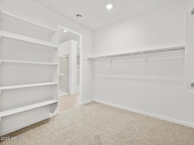 Walk-In Closet View 2