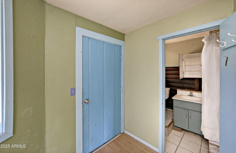 In-Law Suite Bathroom