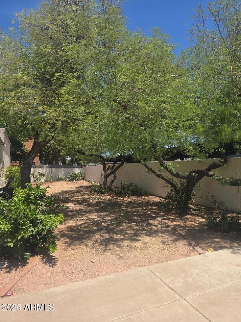 37th St 14 Common Area