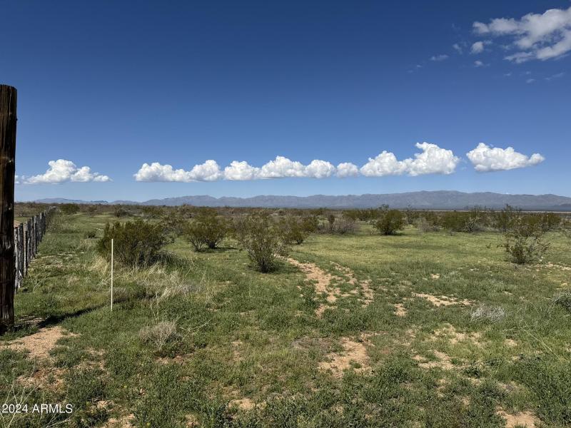 73256488101__5565C3C5-55C6-4DD1-BF4C-E52