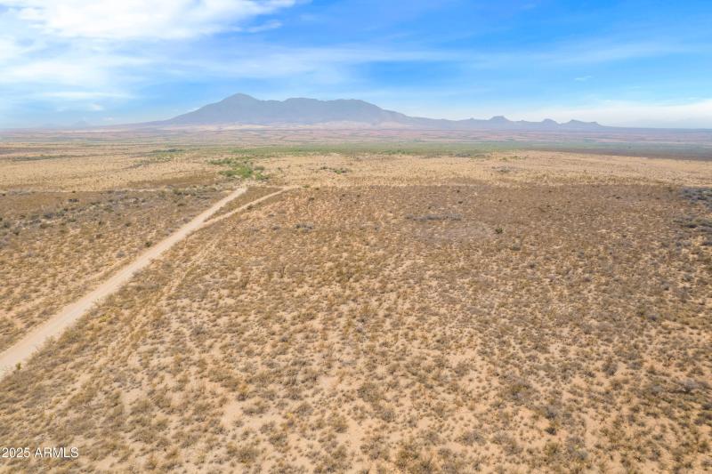 Photo May 22 2025, 2 15 29 PM