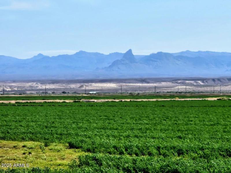 9754 View from back yard 2