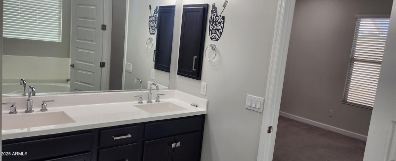 Master bathroom Dual Sink