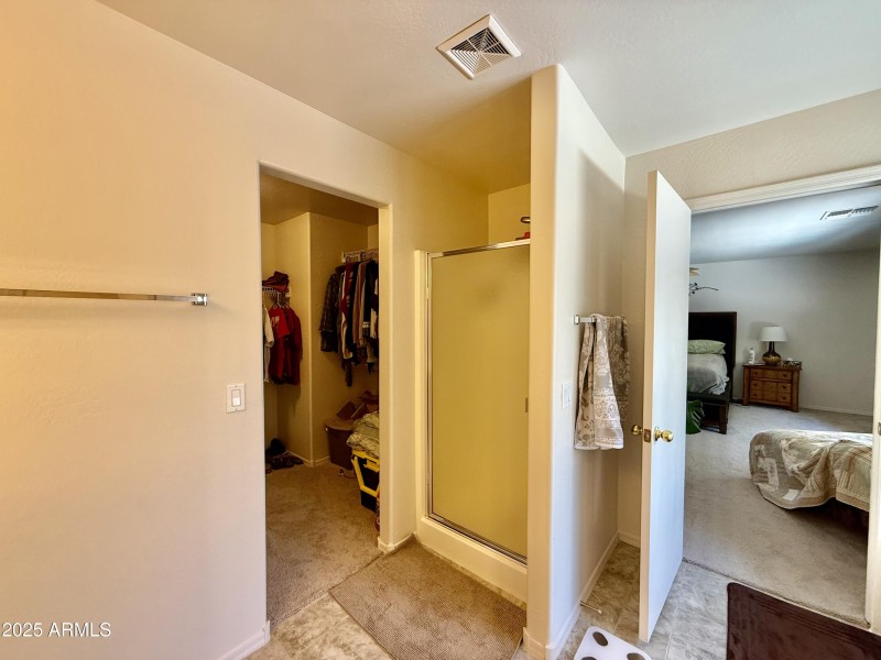 Upstairs Primary Suite Bathroom