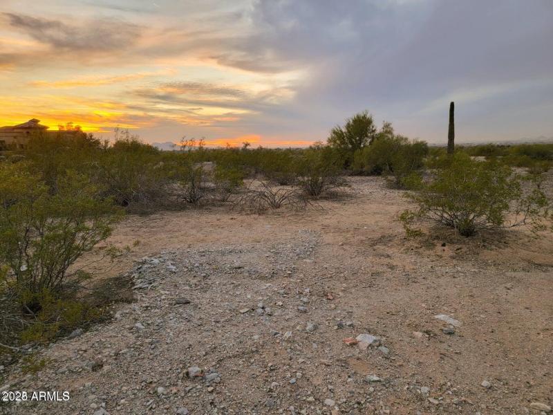 Don't miss out on Your