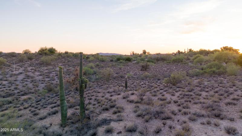 1055 W Monte Vista 00019