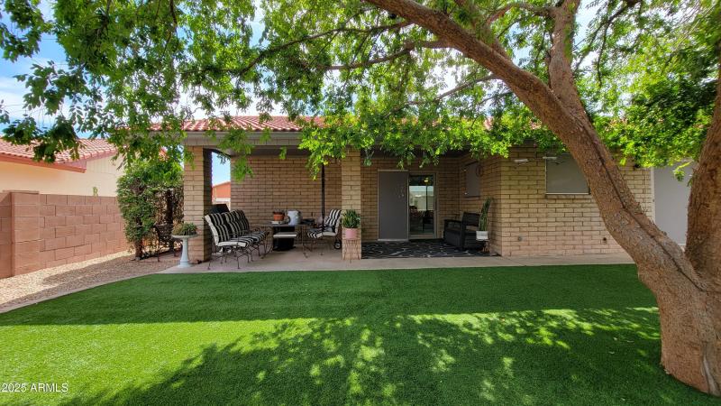 Artificial Turf & Shade Tree