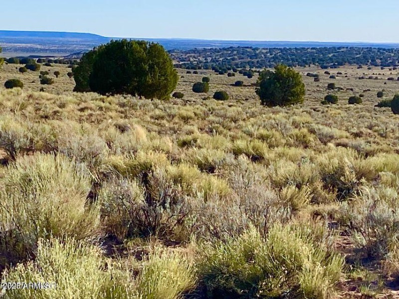 20250526053356617582000000-o