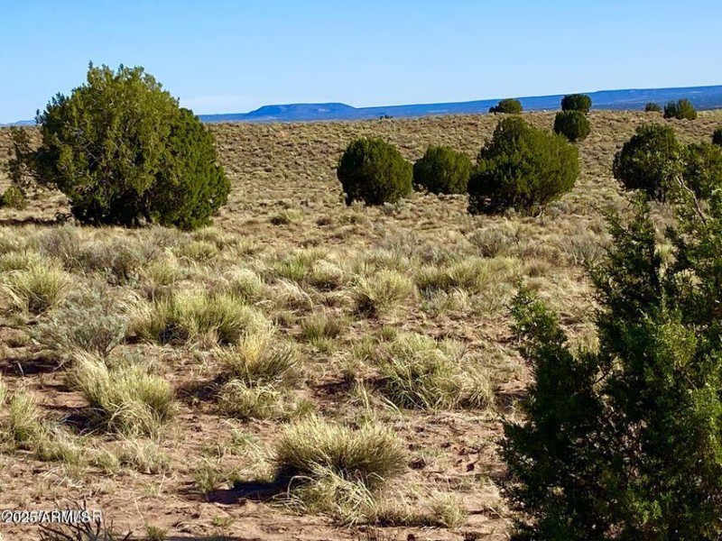 20250526052940207171000000-o