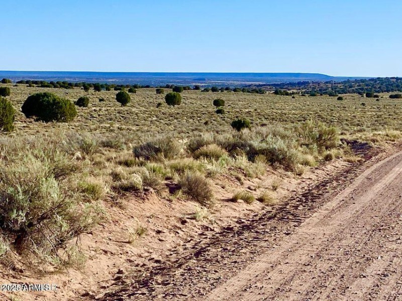 20250526053345871049000000-o