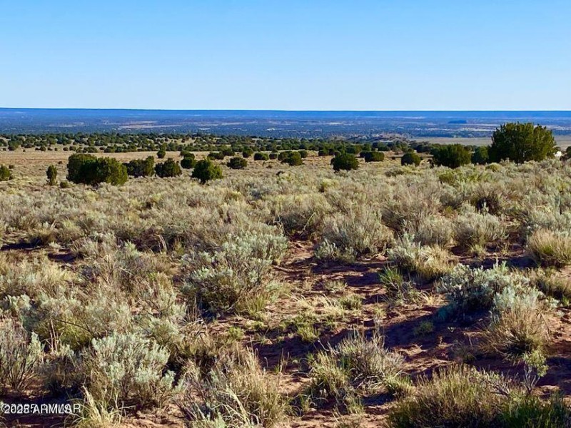 20250526053423123713000000-o