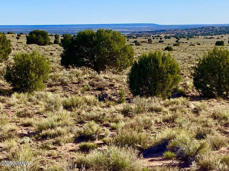 20250526053207981436000000-o