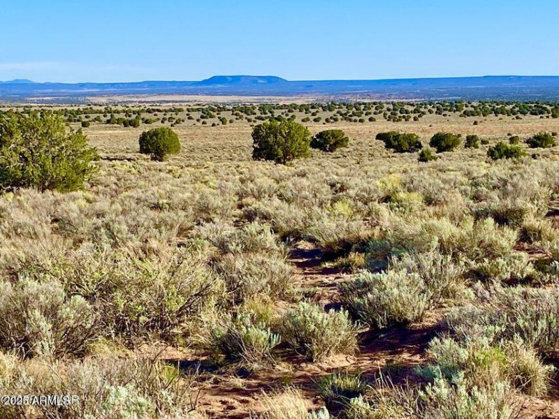 20250526053258706147000000-o