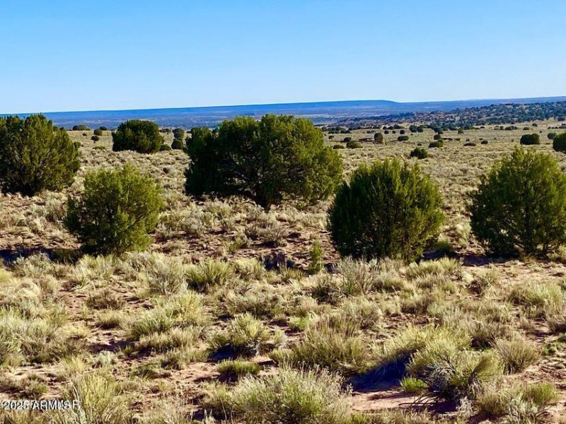 20250526053217626234000000-o