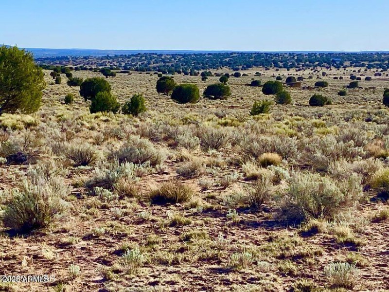 20250526052901221390000000-o