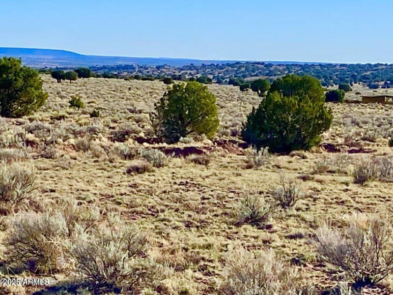 20250526053048453886000000-o