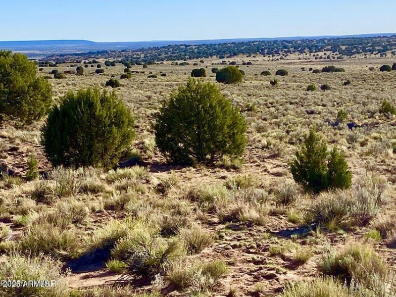 20250526053157794408000000-o