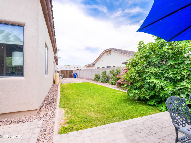 East side yard- Real Grass