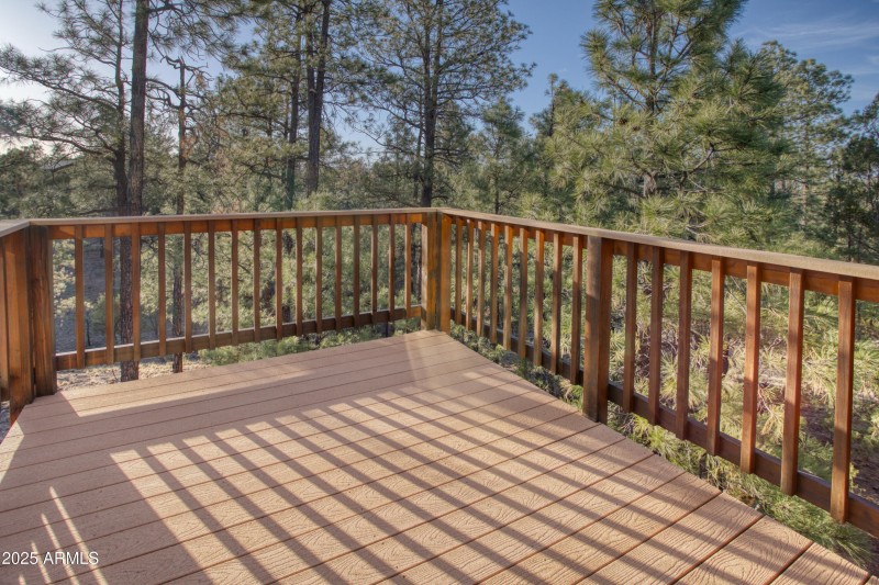 2836 Homestead Drive Overgaard, AZ 85933