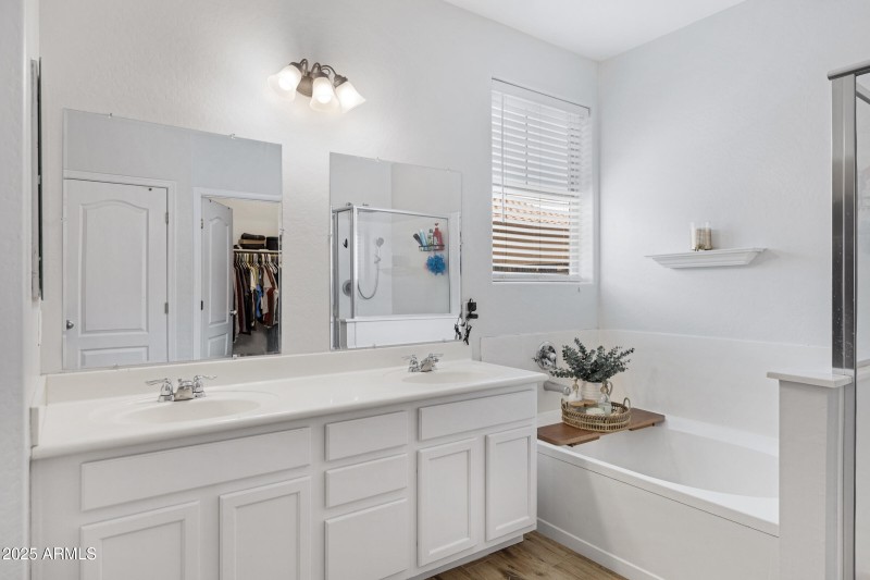 17292 W Pinnacle Vista Dr-18