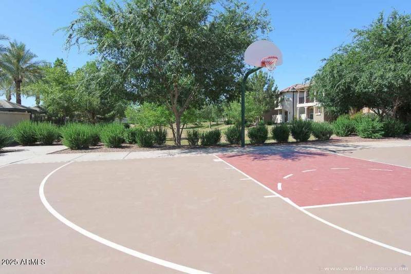 Basketball court