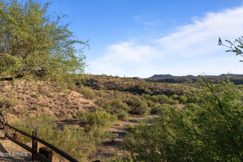 53-web-or-mls-DSC00546