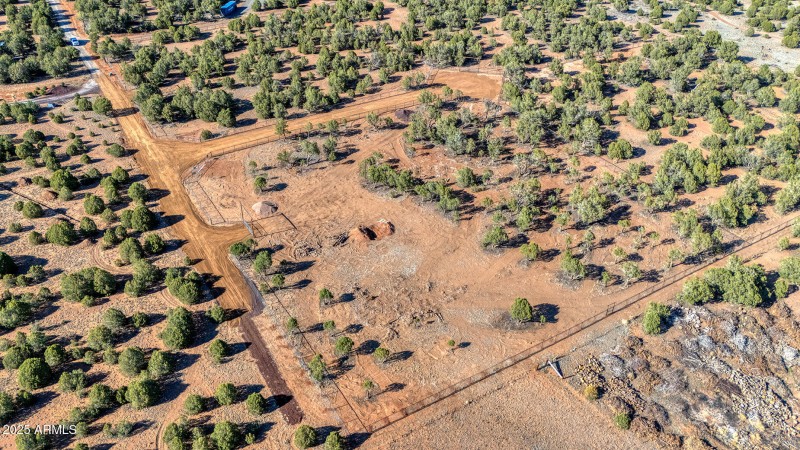 photo(12) Willis Bros Mgmt LLC Lindy 052