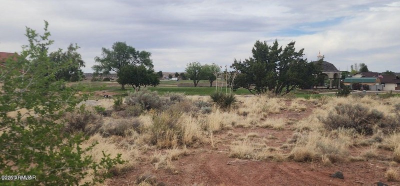 20250525194152672914000000-o