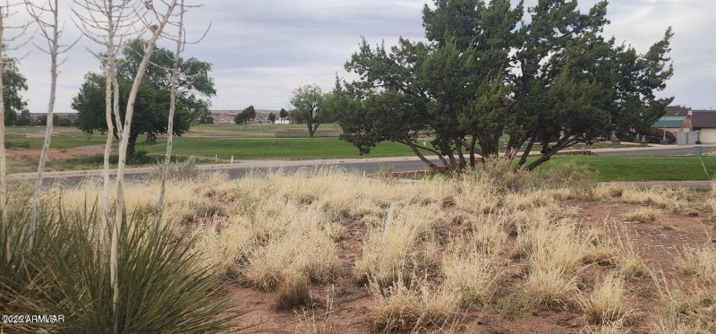 20250525194154869639000000-o