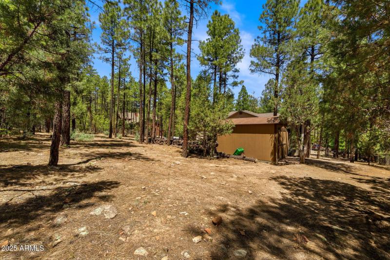 1180SWaterwayLn-ShowLow-AZ-27 - Copy