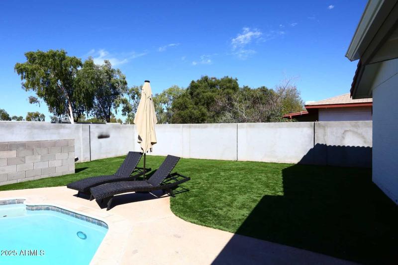 Artificial Grass Area (no mowing here)