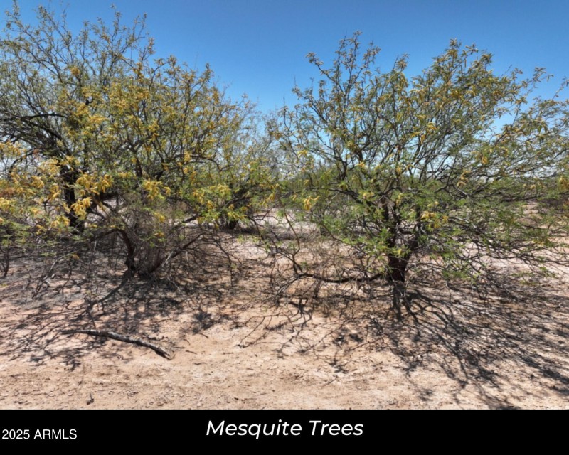 123WAriesDr_56173_13