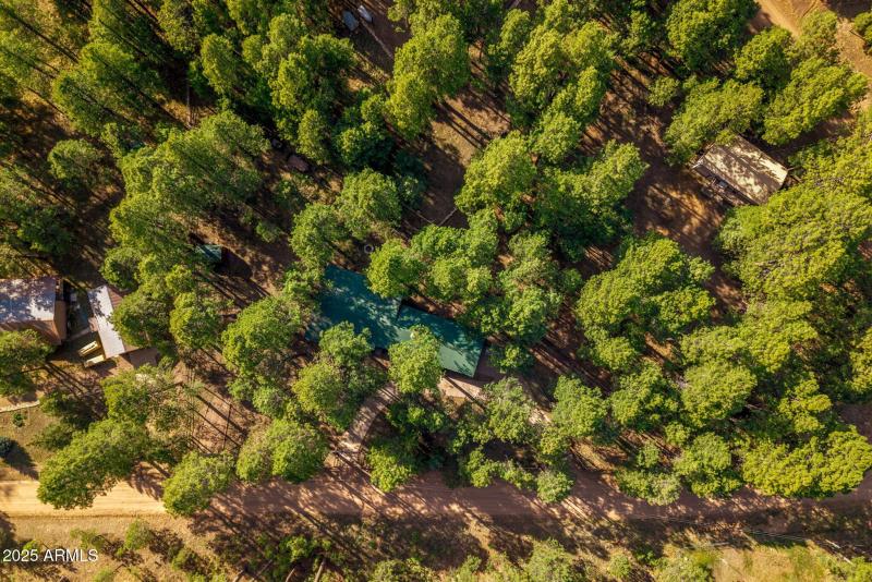 2499CanyonDr-ForestLakes-AZ-32