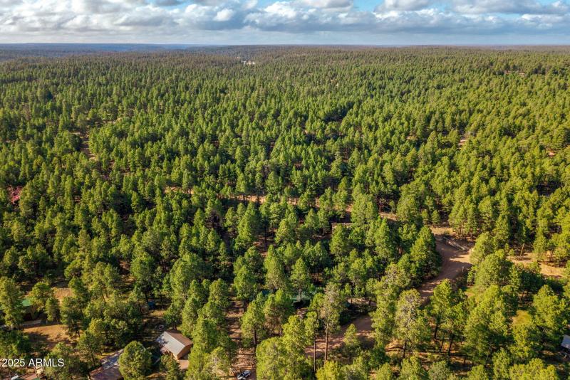 2499CanyonDr-ForestLakes-AZ-34