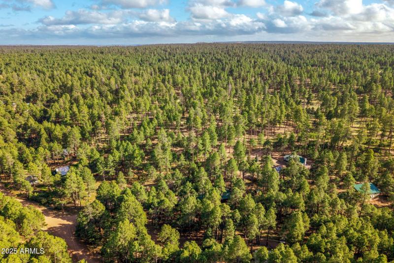 2499CanyonDr-ForestLakes-AZ-35