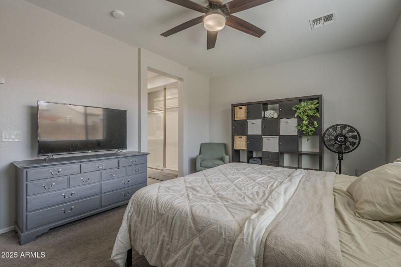 24-web-or-mls-Desert Spoon-24