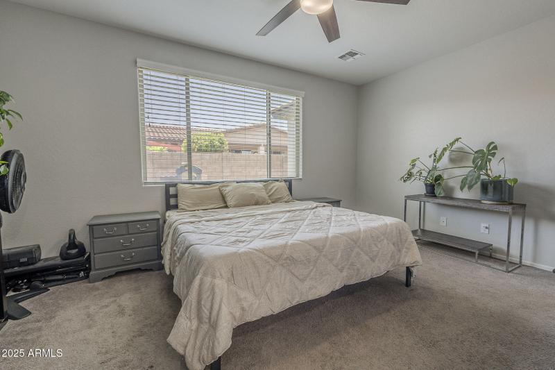 26-web-or-mls-Desert Spoon-26