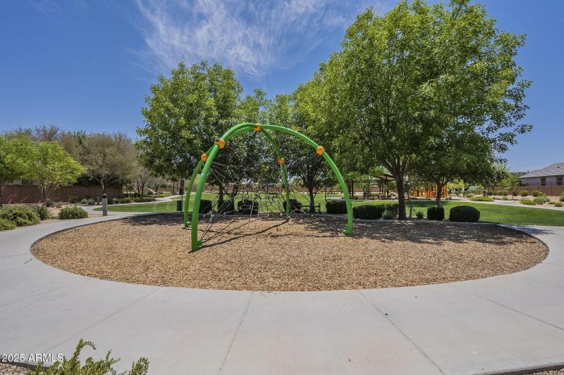 53-web-or-mls-Desert Spoon-53