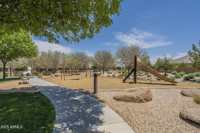 58-web-or-mls-Desert Spoon-58