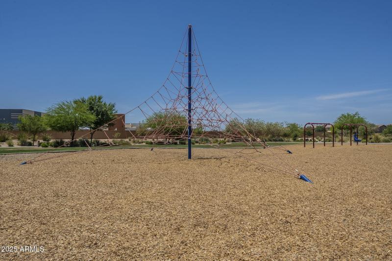 67-web-or-mls-Desert Spoon-67