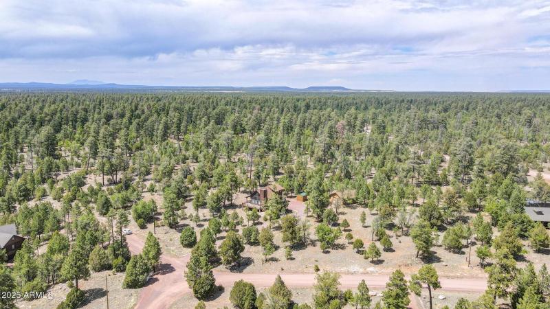 dji_fly_20250529_140516_263_174864691262