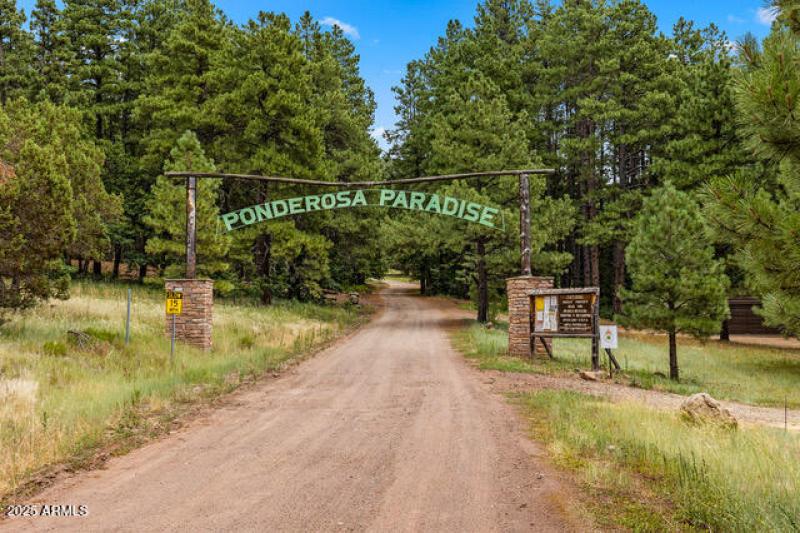 90 Ponderosa Dr Stoneman Lake-1(2)