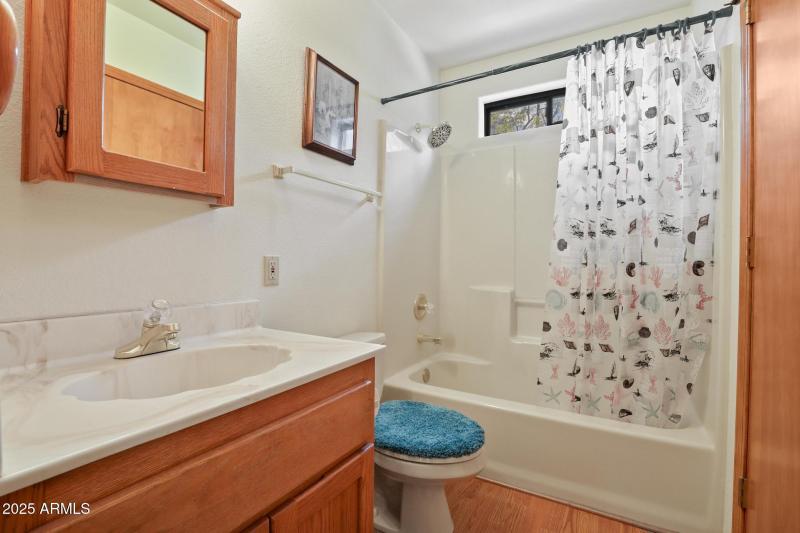 Downstairs guest bath