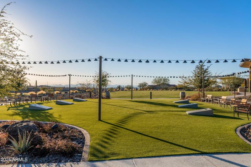 89_26568_W_Cat_Balue89_mls