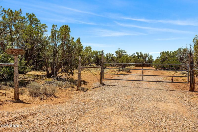 3733DelContento-Snowflake-AZ-8